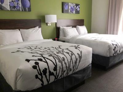 Comfort St Louis Airport Mini-hôtel 3*